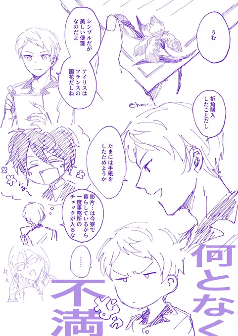 紅宗花言葉。アヤメ「良い便り」 