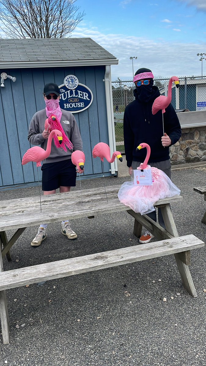 capedano's tweet photo. @mashpeeboosters Meet the Flockers!!!  Coming to a house near you!!  Maybe yours!! 🦩🦩🦩 https://t.co/Vyk0y4ivoZ