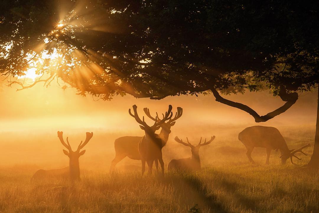 Mooie maandag ❤️ #Goedemorgen 

📸 Chaitanya Deshpande