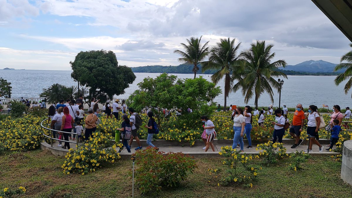 Marcha por la Ciencia PTY tweet media