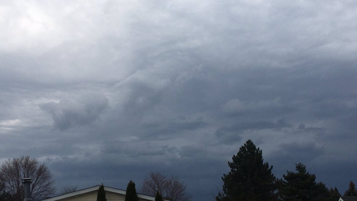 MichStrmEnthus's tweet photo. The severe warned storm looking west.
#miwx #wx #mistorm #kdtx https://t.co/onGCulKvaD