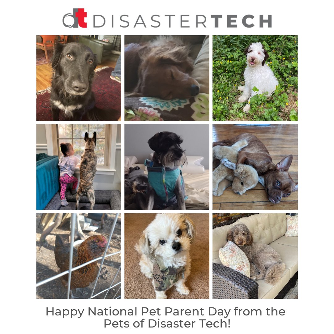 pratus_ai's tweet photo. In honor of National Pet Parent Day, we are sharing our tips for making a disaster plan for your pets. 

#DisasterTech #NationalPetParentDay #EMGTwitter https://t.co/jrpnpnFUro