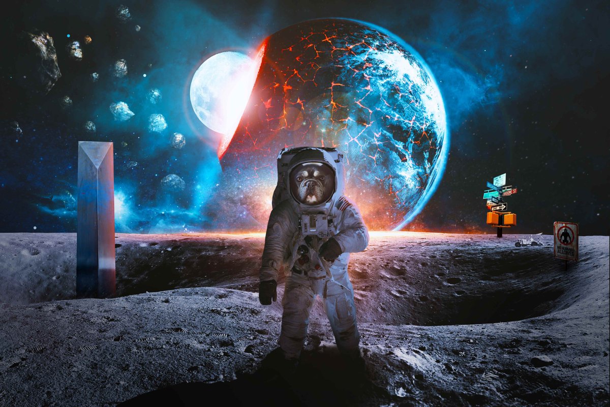 nftbyzech's tweet photo. @jf_nft Dog x Moon 🐶🌙
Available on @opensea for 0.4 $ETH

🔗https://t.co/paNcxJSRDI https://t.co/q8lTkCopbv
