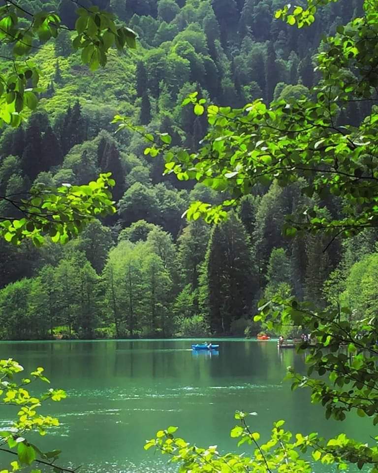 Artvin Borçka Karagöl
#Artvin #borçka #karagöl #borçkakaragöl #doğa #bahar #manzara #Turizm