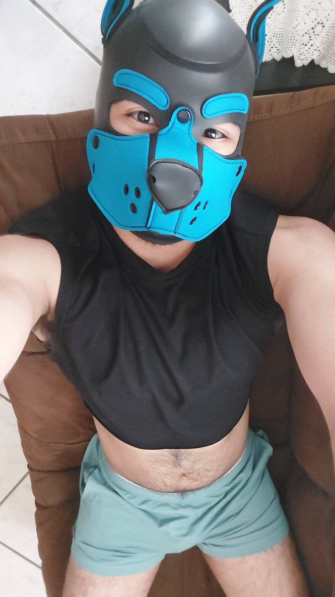 PupRufus13's tweet photo. Awoooo!! Thank you all for 100 (and then some) followers~! ✨️ https://t.co/V9HAyMI0zC