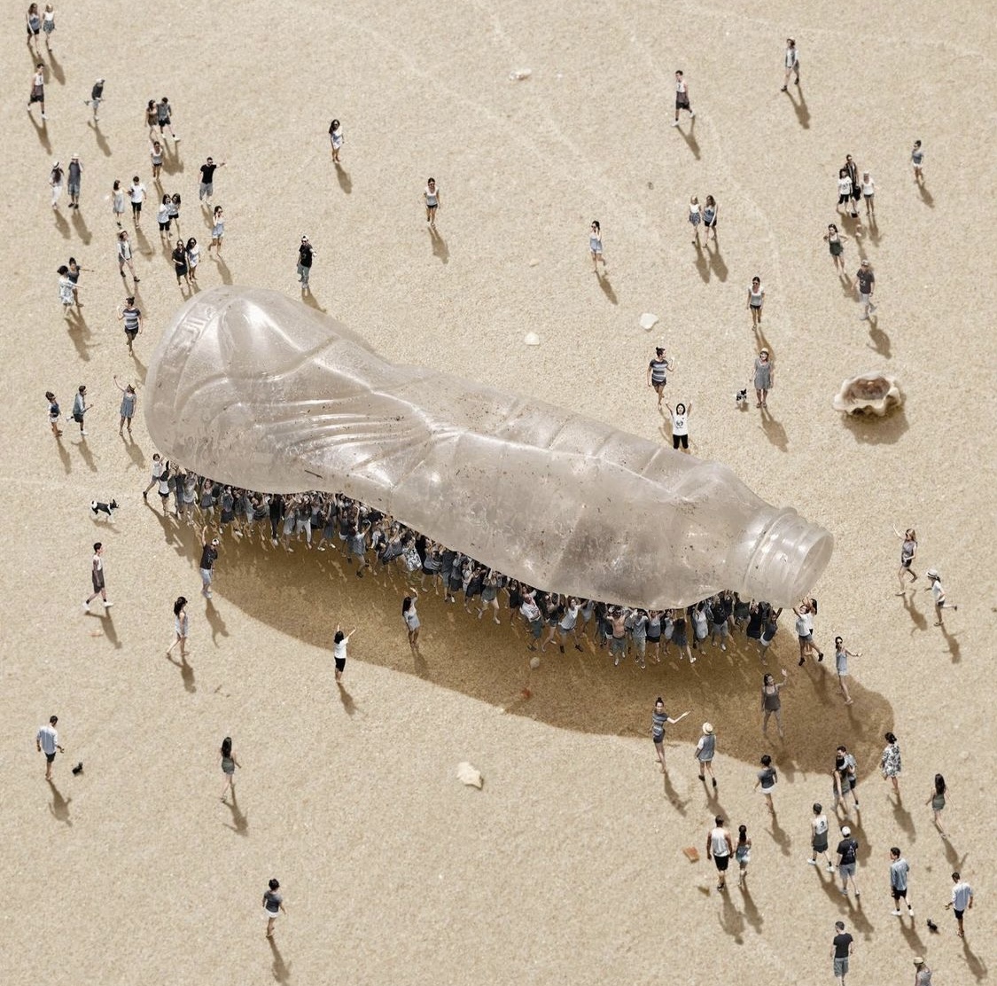Lettre ouverte à Emmanuel Macron, tout juste réélu pour un second mandat du "renouveau" qui "sera écologique ou ne sera pas".
Signez ici et partagez pour un appel à des actions concrètes:
nomoreplastic.co/nomoremicropla…