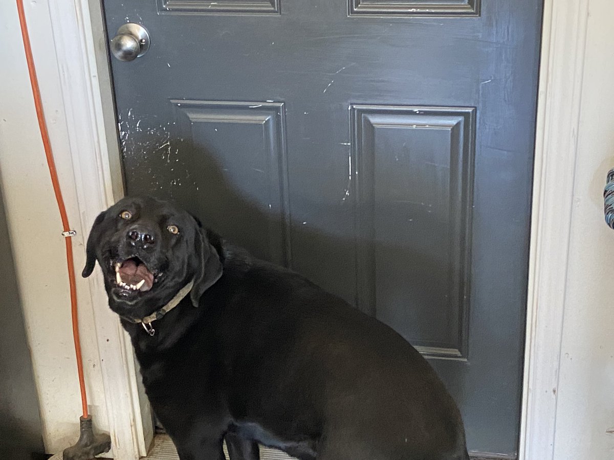 Coach Randon Johnson tweet media