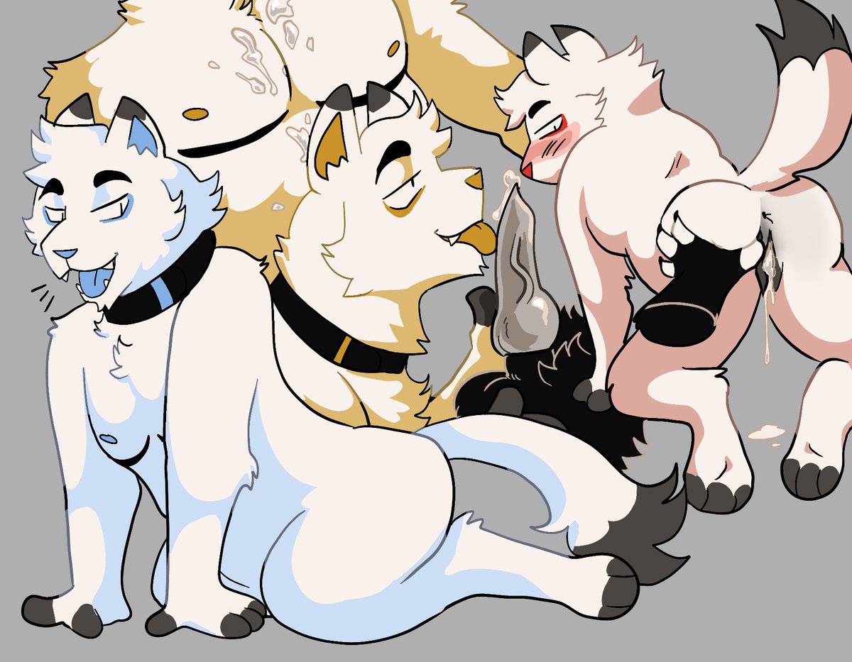 HallowedMaw's tweet photo. Babe wake up new nsfw sona just dropped https://t.co/52We2dk5E4