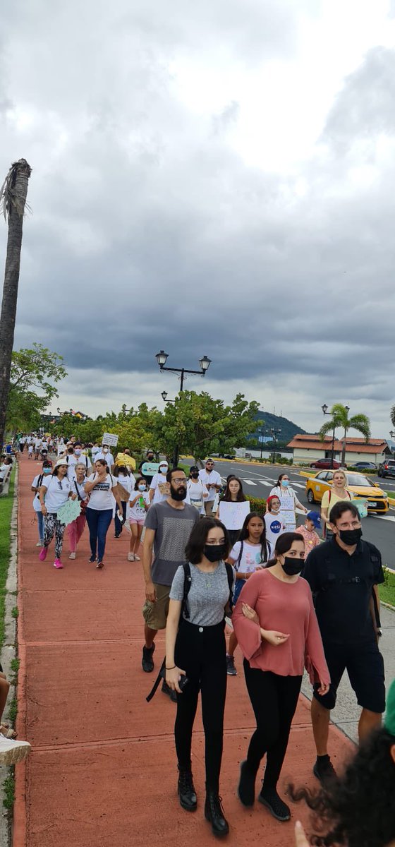 Marcha por la Ciencia PTY tweet media
