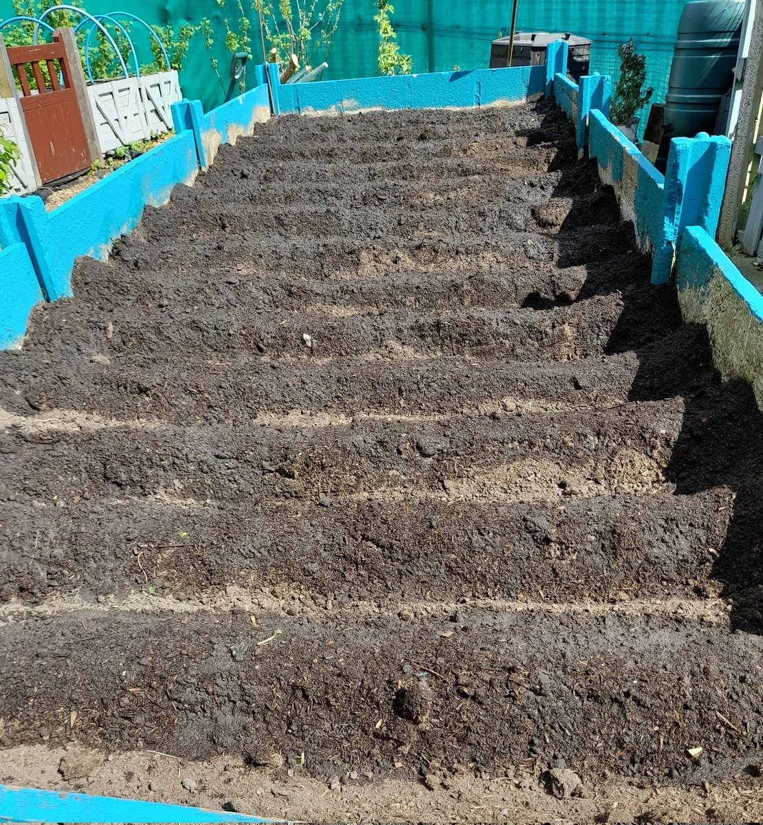 local_plot's tweet image. If Carlsberg did carrot beds...
@smalmarg2012 @Joburkegreengal