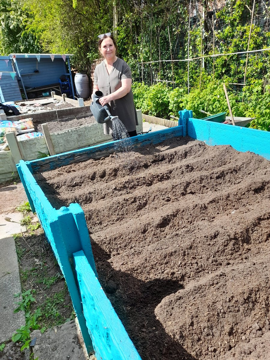 local_plot's tweet image. If Carlsberg did carrot beds...
@smalmarg2012 @Joburkegreengal