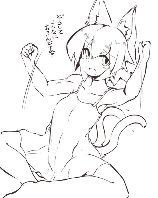 うちのこクルネロスと気温 