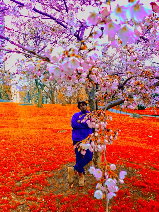 Watch XAV.'s leaked NSFW photo on TwXstars