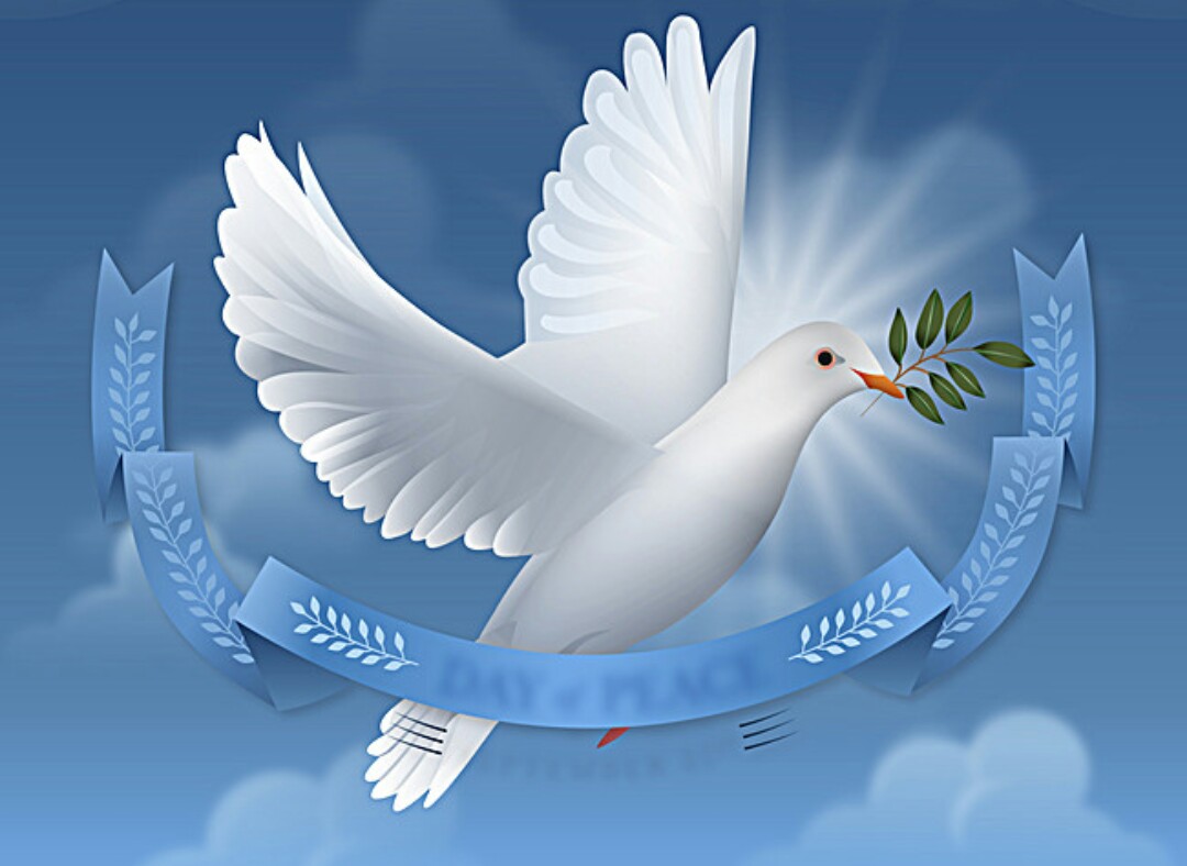 WALID🕊️🌿 tweet media