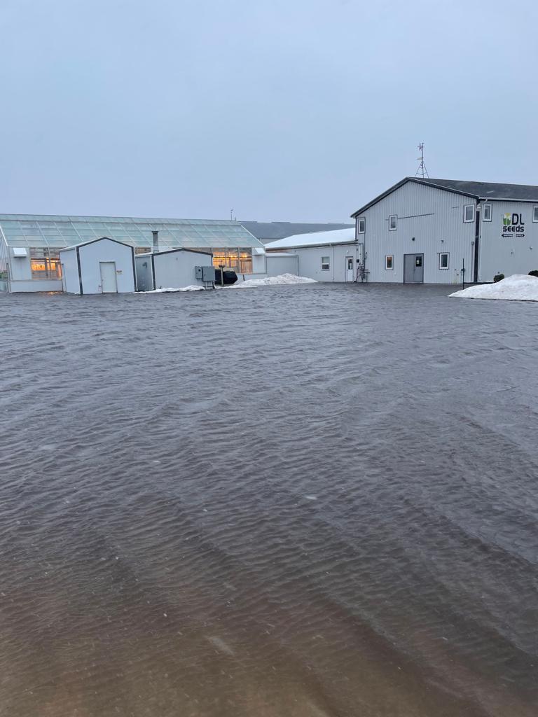 Help, if anybody is available to help DL Seeds Head Office just outside Morden, Mb sand bag today. Our crew will be starting in one hour from. Please forward this message.
Thanks, Kevin McCallum