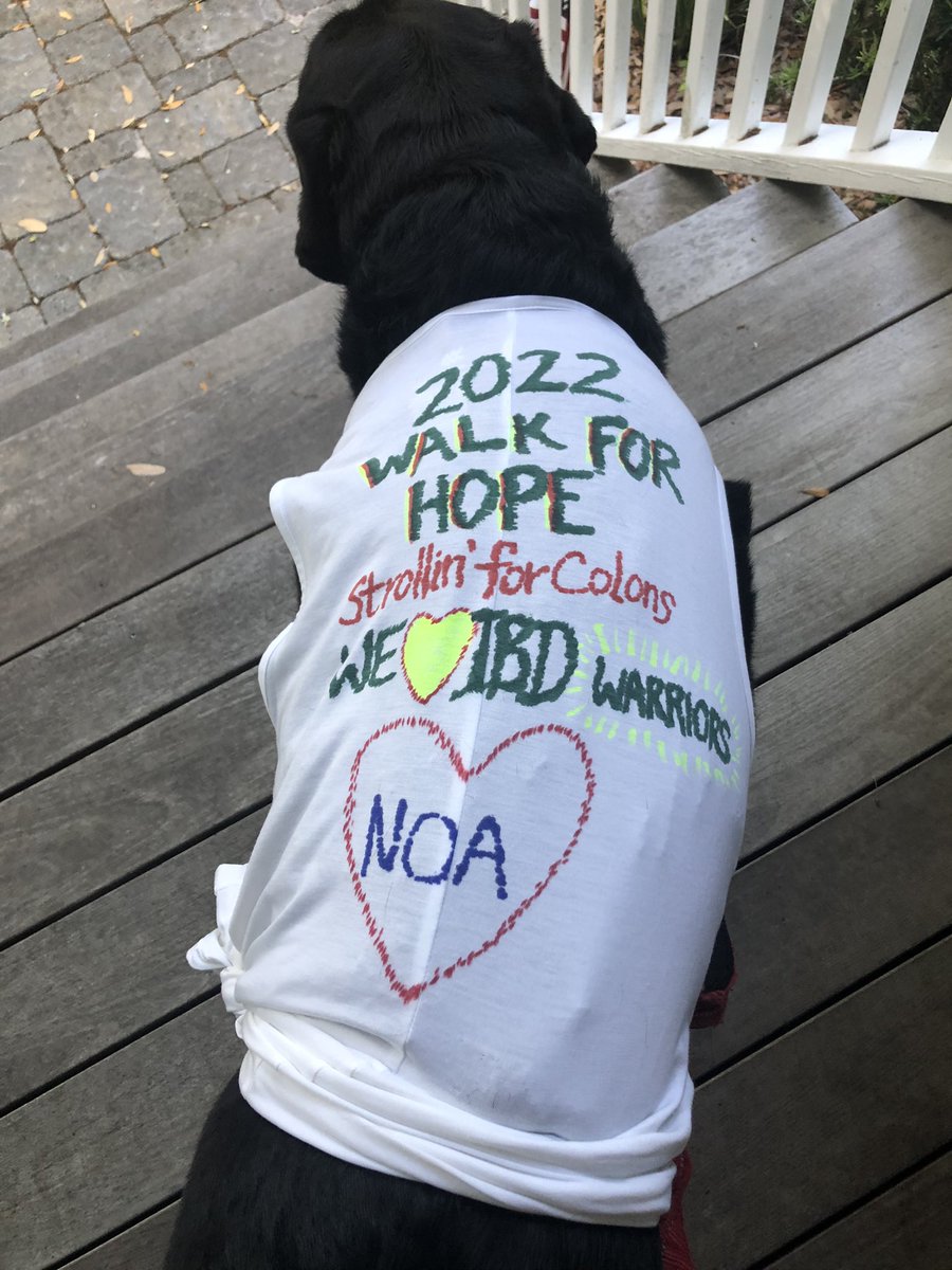 I can’t think of a better way to start my Sunday than w the wonderful members of Team #StrollinForColons virtually participating in the 2022 #CHOPWalkforHope to celebrate #IBDWarriors & support IBD research @NoaErlitzki @JuliaChini1 @ZJGGardner @EthanFein @ChildrensPhila