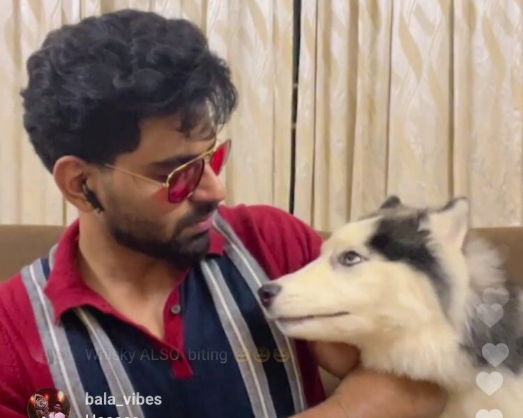 shikha_kakkat's tweet photo. Why need any other ship .. #Bala and Whiskey bond is Amaizingly beautiful .!!
#BaSkey
@OfficialBalaji 
#BalajiMurugadoss 
#BalaFam https://t.co/GOFppCCKCE
