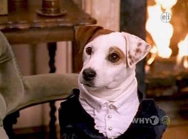 bookishseawitch's tweet photo. the most underrated actor of our generation methinks https://t.co/E0Lj63gnAp