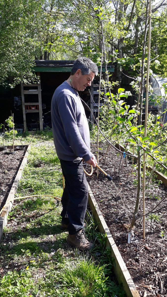 Let's Grow Together tweet media