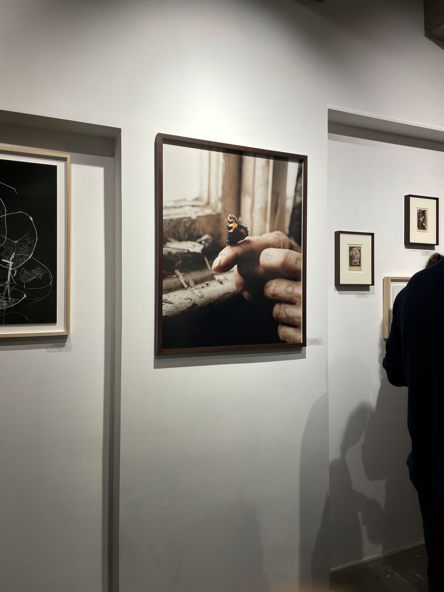 Max Miechowski tweet media