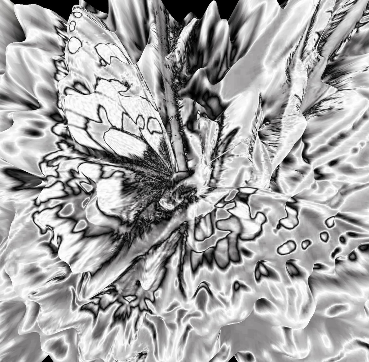 a.g.ackerman tweet media