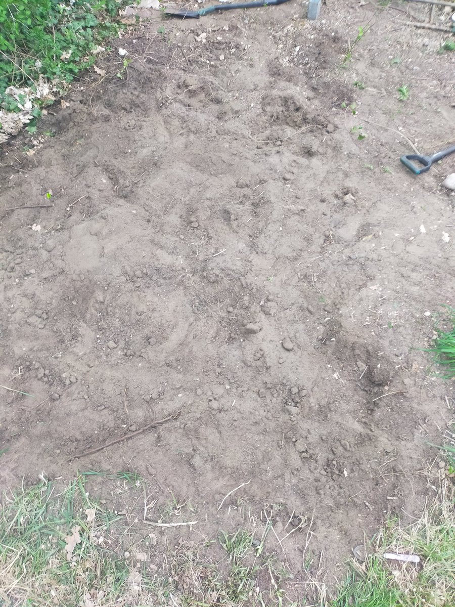 Kurierprinzess1's tweet photo. Angefangen 40cm Deckschicht des neuen #Beetes abzutragen wird dann mit Kompost aufgefüllt!! https://t.co/4Wi59NtJQq