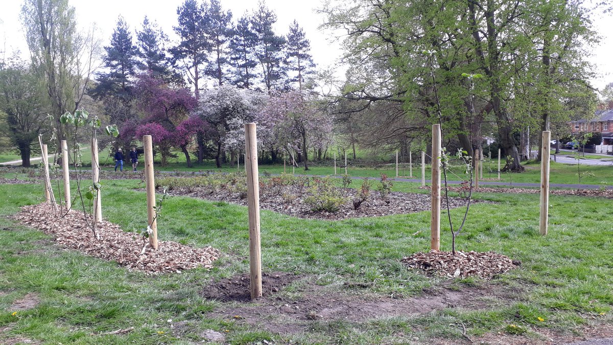 Let's Grow Together tweet media