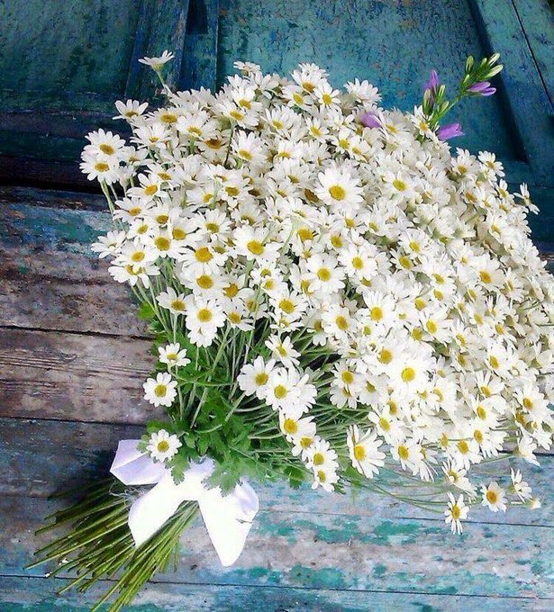 Mary Anne tweet media