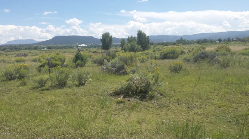 AzMountainHomes's tweet photo. #ArizonaRealEstate #JustReduced Beat the #Arizona heat in the #WhiteMountains Don’t miss this   #TenAcres walking distance to the #LittleColoradoRiver &amp; #BeckerLake #BlueRibbon #RainbowTrout #Lake &amp; short 30 min drive from #SunriseParkResort See Listing - https://t.co/gzOIWzVhzg https://t.co/gh0ZwzhIIw