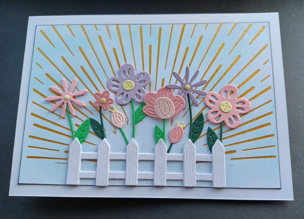 Fran Carroll tweet media