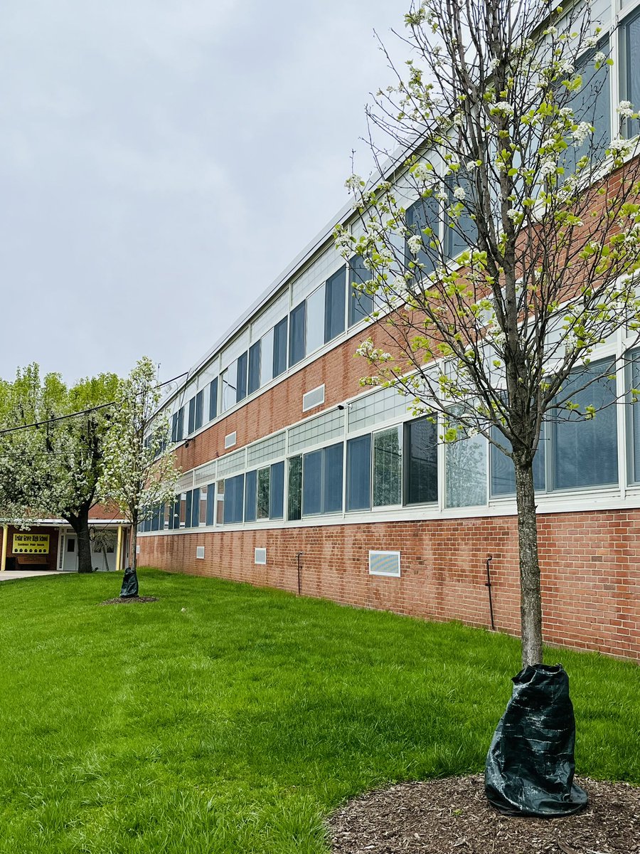 The trees are blooming.  

Everytime I drive past <a href="/CedarGroveK12/">CedarGroveSchools #WeAreCedarGrove</a> 
<a href="/CGPANTHERPRIDE/">Cedar Grove High School</a>, my heart is overcome with joy knowing #CedarGroveWaves planted 2 trees in remembrance of Cedar Grove residents Norman Rossinow &amp; John Eichler - who were killed on September 11th.

#WeStillRemember