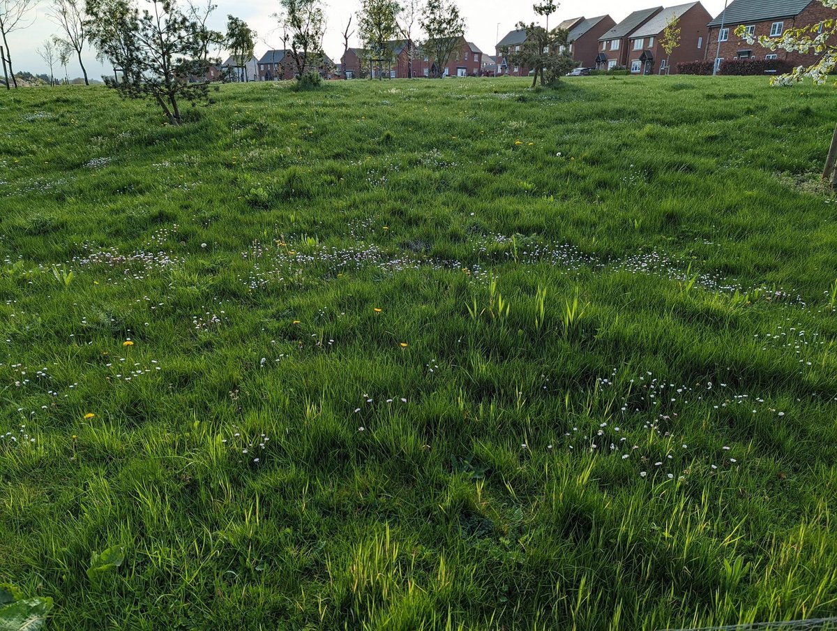 Is this the kind of service service everyone else get from <a href="/FirstPortUK/">FirstPort UK</a>?