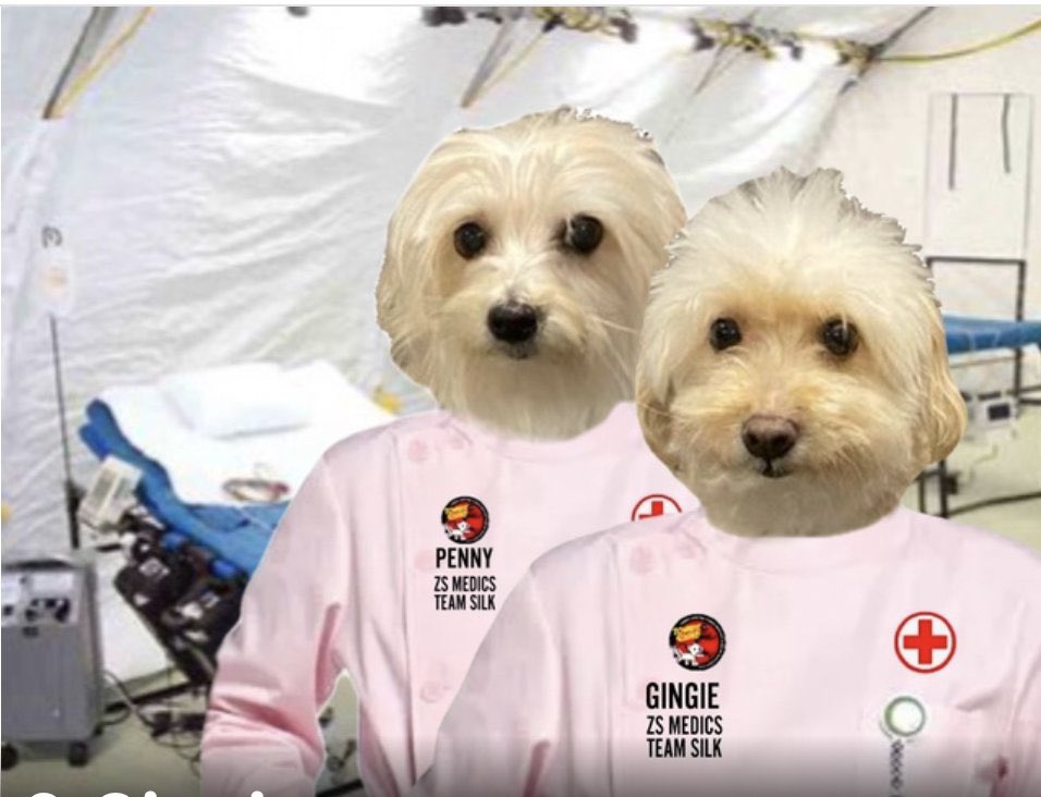 Free2BeeMee's tweet photo. @ZombieSquadHQ We have the bedpans and the emenas ready to go squaddies! Oh and antidotes! Weโll keep everyone in good shape. RaaaAA #teamsilk #zsmedics #zshq #zzst https://t.co/5baCzWC5XM