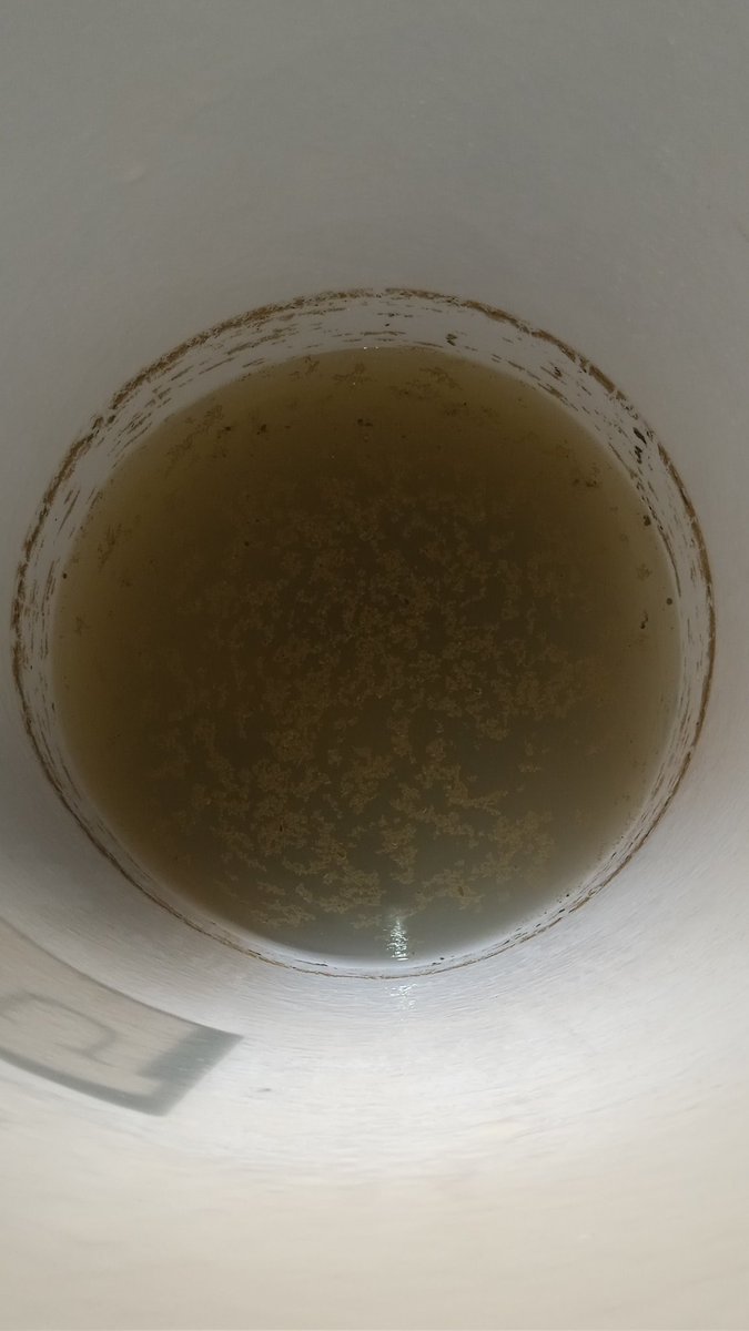 RamonEmilioRA's tweet photo. @HidroCapital2 @ServiciosEH @luisaguilarj  @ElHatillo @AlcaldiaBaruta  agradezco mucho la labor realizada para reparar las tuberías en la Guairita, sin embargo debo llamar la atención a la calidad del agua que está entrando. Verdaderamente representa un riesgo a la salud pública https://t.co/ItQLmFK2IK