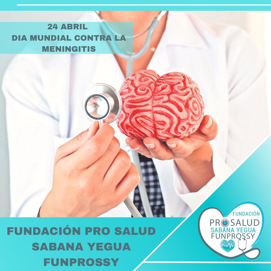funprossy's tweet photo. La meningitis suele estar ocasionada por una infección viral, aunque también puede ser bacteriana o fúngica. Las vacunas pueden prevenir ciertos tipos de meningitis.

Síguenos @funprossy 💙🤍❤️
#hablandodesalud #donasangre #miningitis #meninge https://t.co/DeceItUdN7