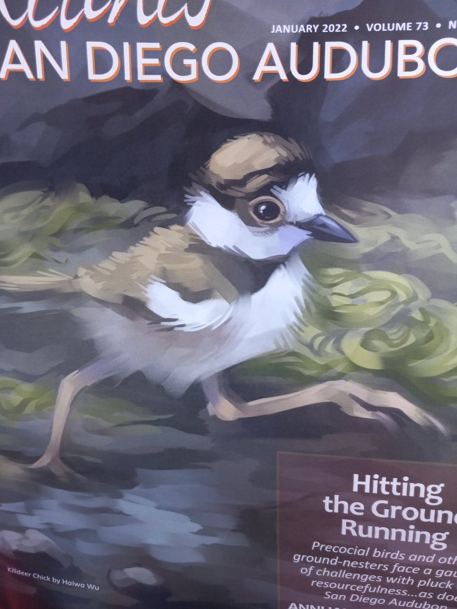 desertdarlene's tweet photo. I'm at San Diego Earth Fair where I picked this up. The artwork is by Haiwa Wu. https://t.co/7MeVZ2rkWd