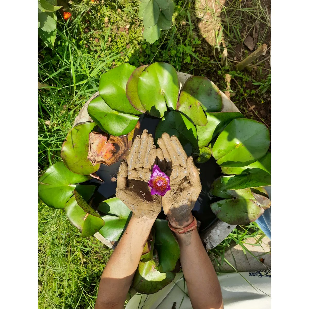 khushisahu717's tweet photo. #SaveSoil #ConsciousPlanet #EarthDay2022 #MyConnectionWithSoil https://t.co/UFqXoZk3m0