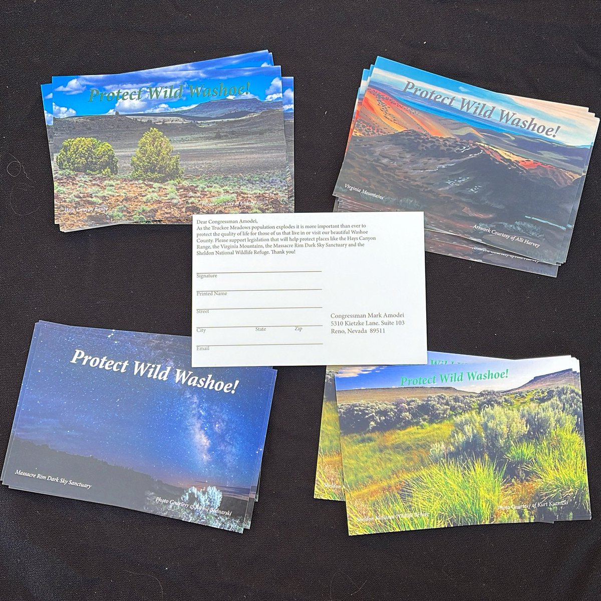 friendsofnvwild's tweet photo. Stop by our booth at #RenoEarthDay to sign a postcard in support of #WildWashoe, featuring beautiful areas that need permanent protection in northwestern Nevada including Massacre Rim #DarkSky Sanctuary and the Hays Canyon Range! https://t.co/POQPZ9v3tC