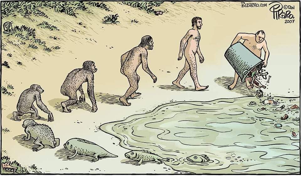 Dr_TheHistories's tweet image. 400 Million Years of Evolution ...
Illustration: Dan Piraro