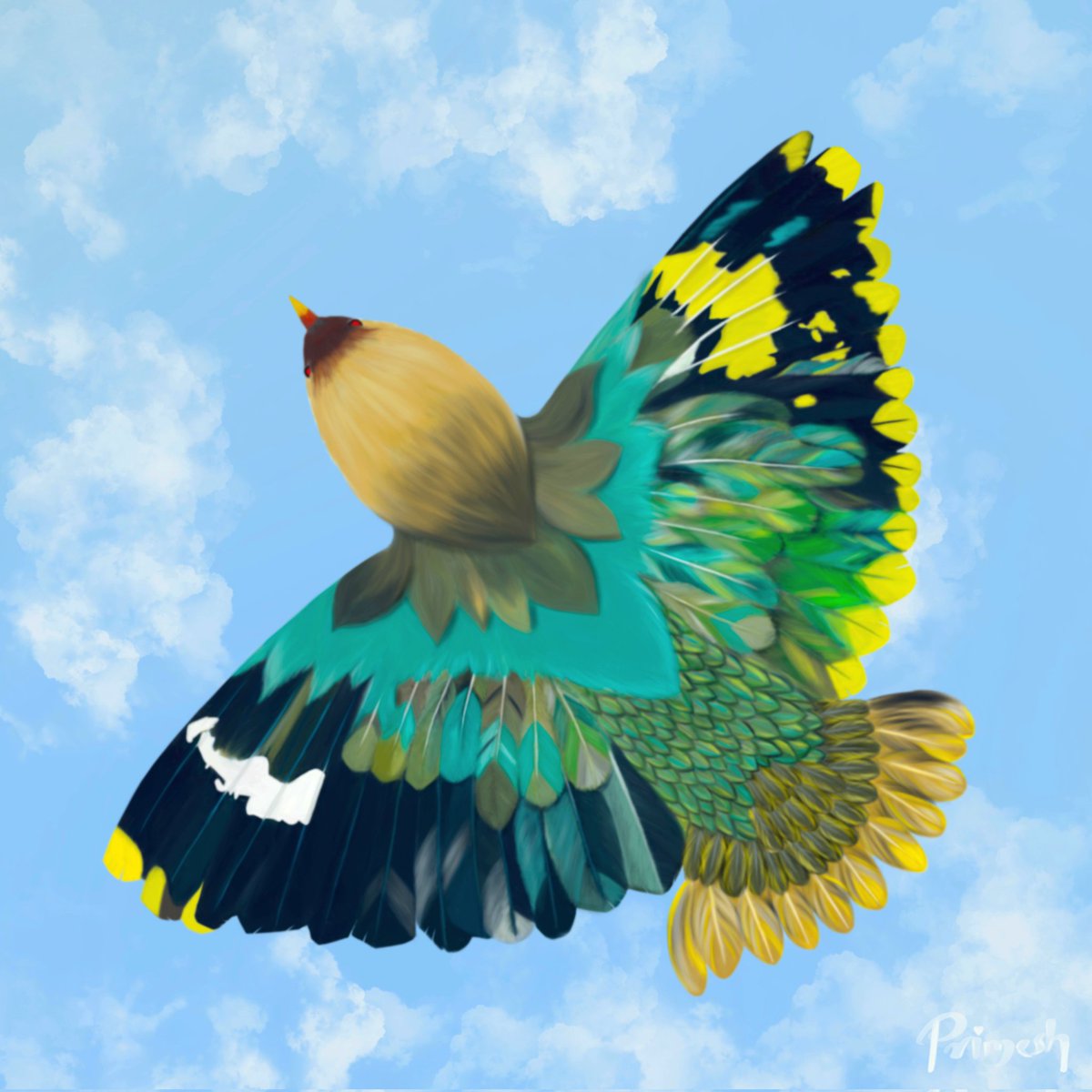 PrimeshAlinkil's tweet photo. My submission for  @NamasteyNFT
Contest!
'The Immortal'
This bird is a symbol of our Soul. We are Immortal.I recreated the bird through art which actually lived 20 years back so that it can live in our hearts forever.🧡🐦
#NamasteyNFTblr
 #NamasteyNFT2D
#NamasteyNFTIllustration https://t.co/BeUY5HrqVA