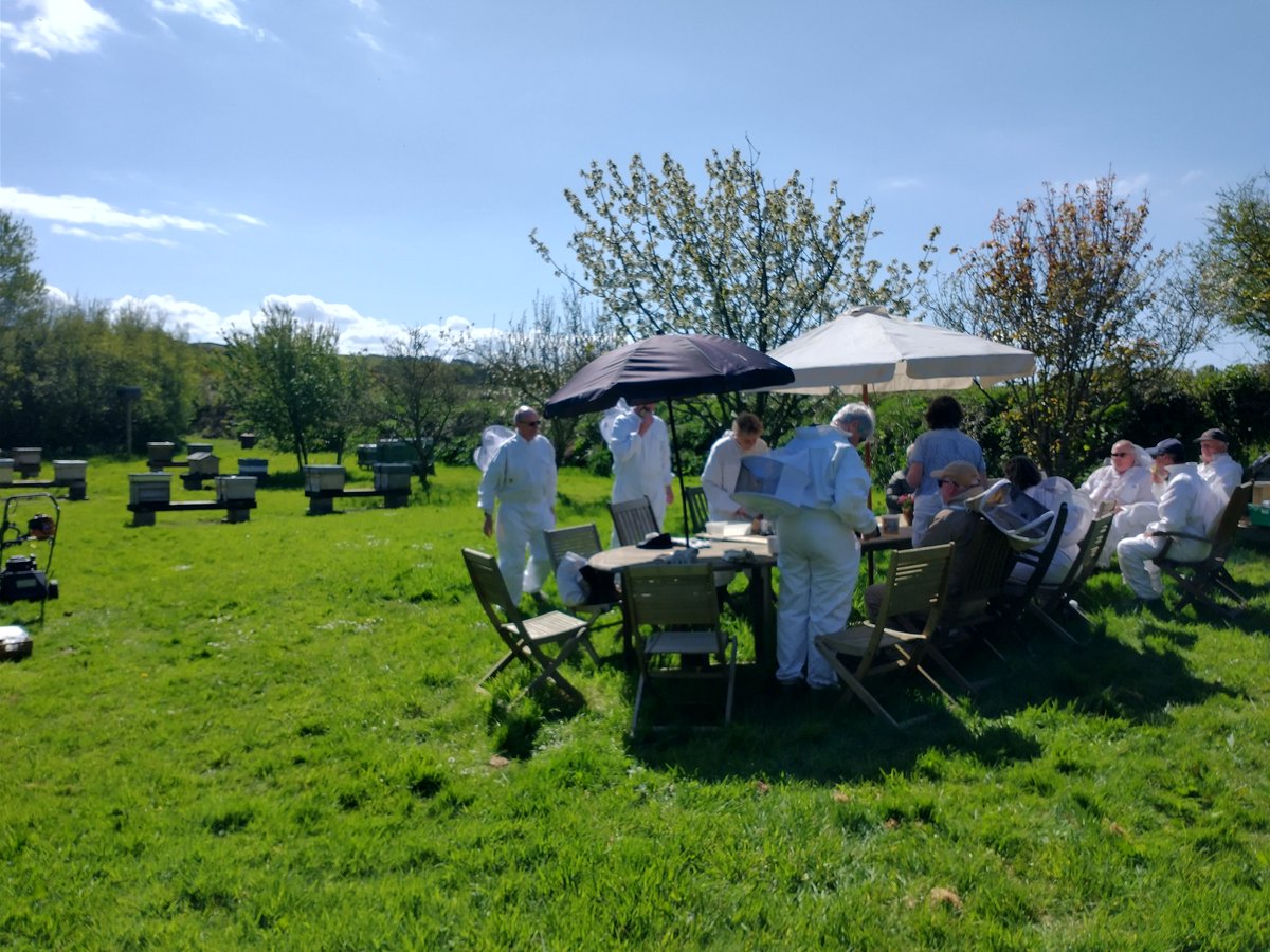 Ahhh, here we are at Glen Truan this afternoon.
Lovely to see everyone, jobs all ticked off and lovely to welcome our brand new beekeepers who thoroughly enjoyed their first ever skeet in a bee hive!