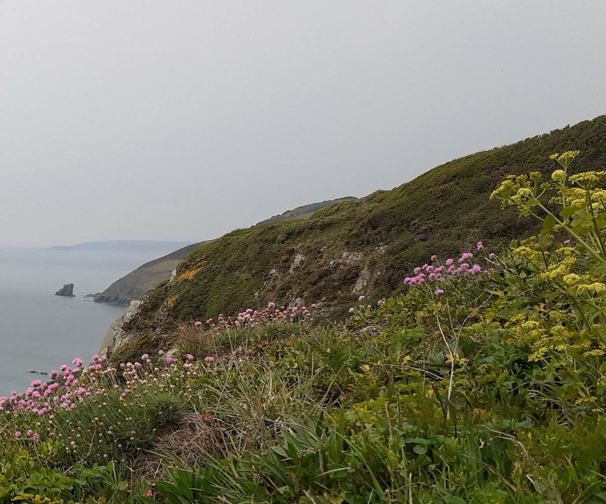 rose_wilts's tweet photo. Great weather for walking the @swcoastpath coastal path today. Found a pair of binoculars between Portwrinkle and Looe. Would be great to reunite them with their owner. #portwrinkle #tregantle #looe https://t.co/tnHOgT7v7L