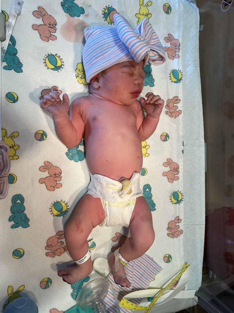 The Ducks will be making <a href="/theprorec/">PRO REC</a> history while drafting the first ever girl to a team in Rayna Bird Cuellar!