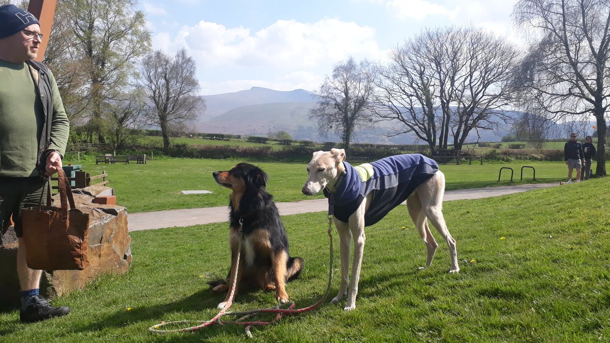 Freyalyn's tweet photo. @MarkHainsworth Our Grand Day Out in #BuilthWells, #Brecon, and #Libanus! #DogsOnHoliday https://t.co/HNrZ2stQnm