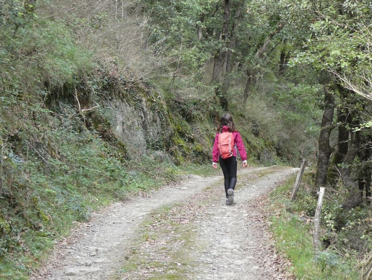 monteditorial's tweet photo. Excursió al Puig de l’Àliga, Serra de Curull
.
Itinerari número 1. Ruta i GPS track al mapa excursionista de la Vall del Ges
.
#itinerari #guia #excursió #gpstrack #gpstracker #track #osona #valldelges #santperetorelló #santvicençdetorelló #torello #torelló #excursionisme https://t.co/xZb1oNYuOP