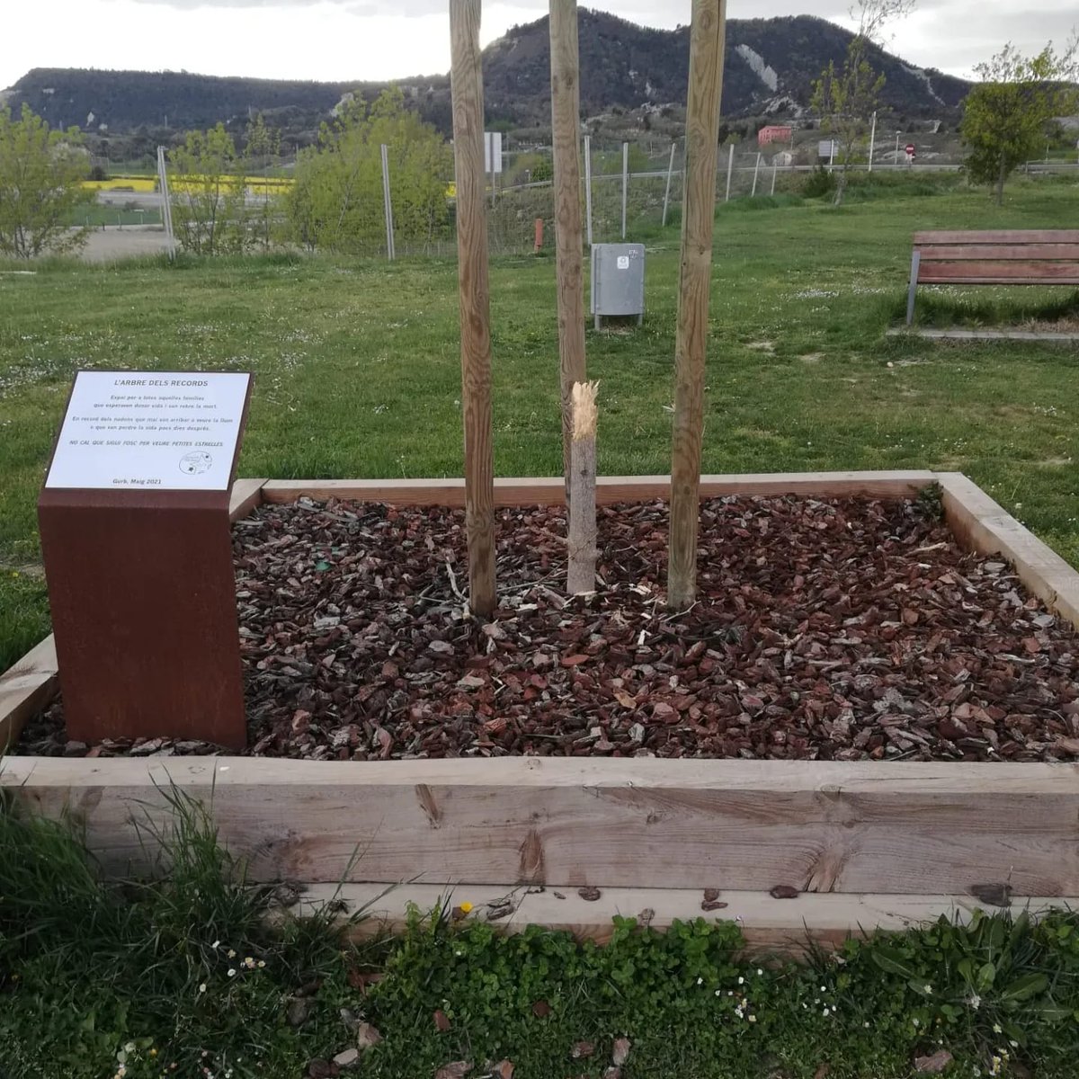 AjuntamentGurb's tweet photo. Fa gairebé un any inauguravem l'Arbre dels Records. Un espai en record dels nadons que van morir durant la gestació, al néixer o als pocs dies de néixer. 

Avui MALAURADAMENT hem de denunciar un acte vandàlic que l'ha destruit. És molt trist aquesta manca de respecte. https://t.co/i13AVYShhf