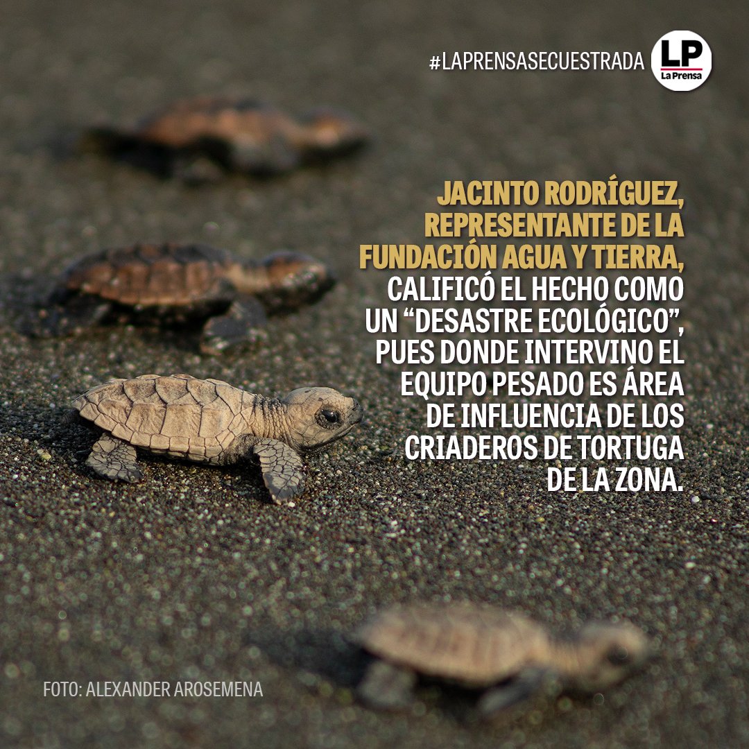 La Prensa Panamá tweet media