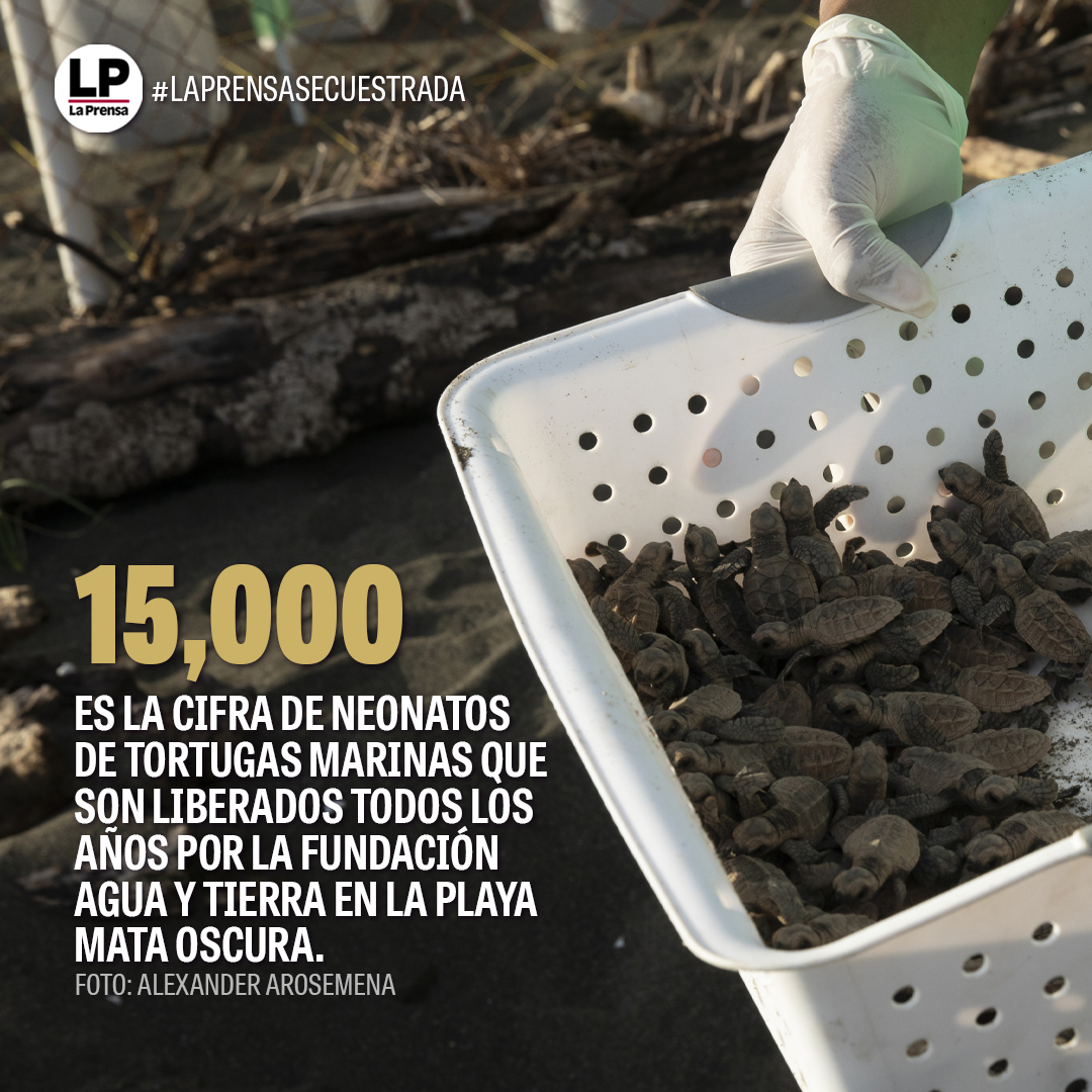 La Prensa Panamá tweet media