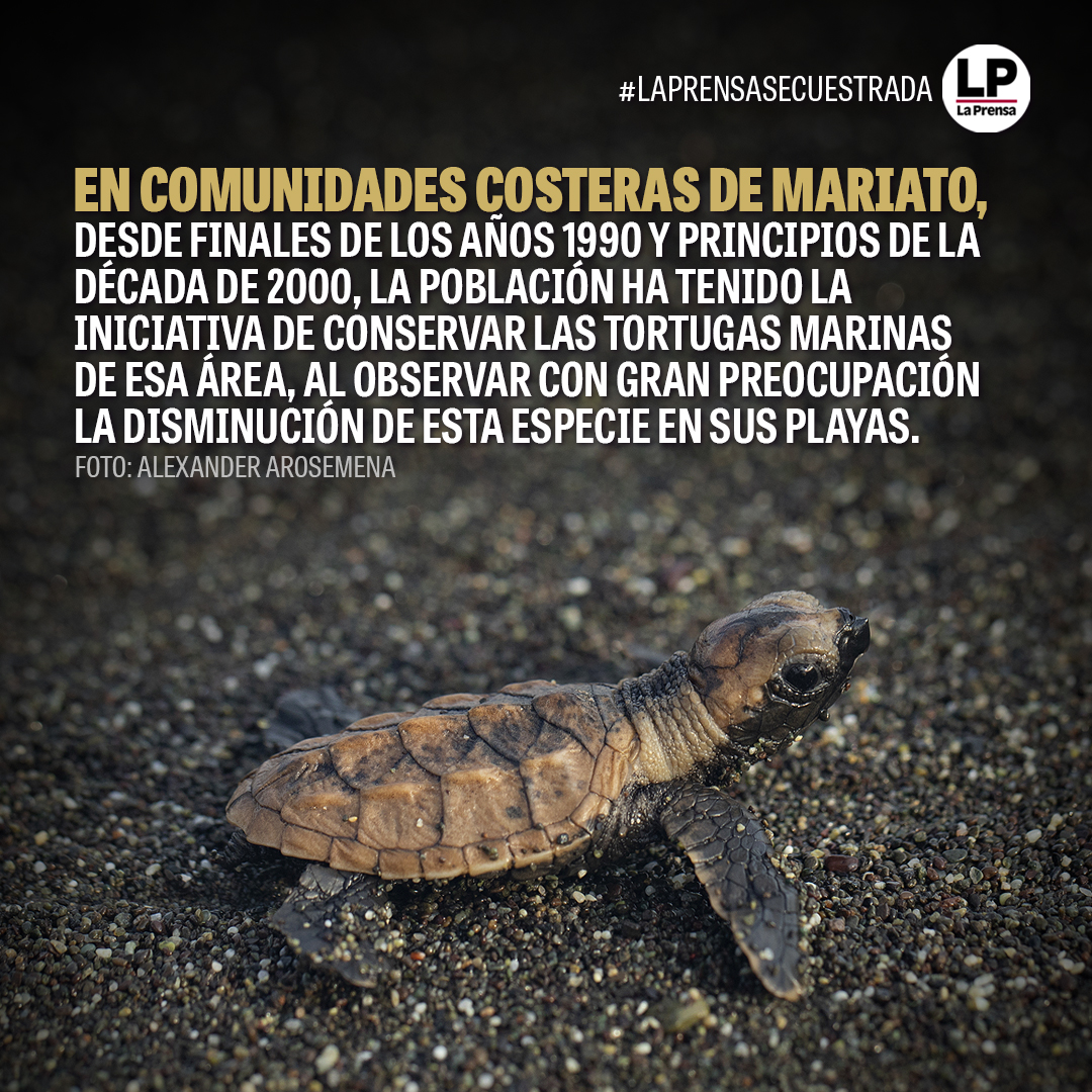 La Prensa Panamá tweet media