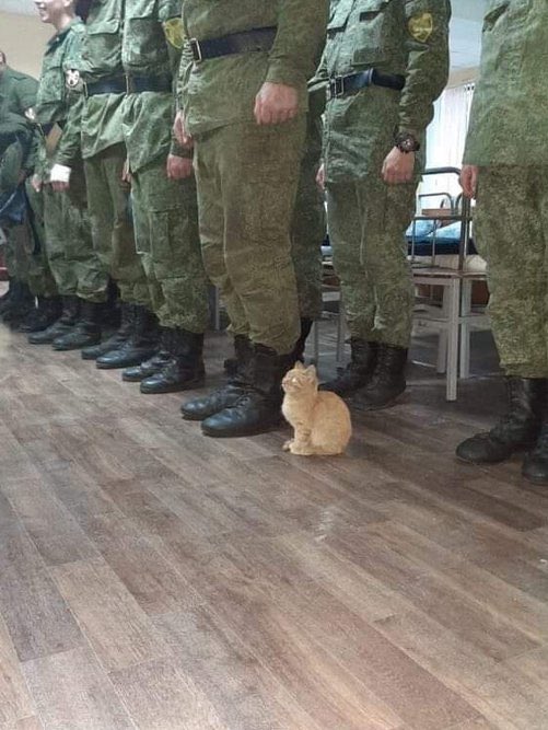 chen_archive's tweet photo. Exclusive photo of jongdae doing his last line up as a soldier 

#HelloAgainCHEN #WelcomeBackCHEN https://t.co/ykQGxjRec1